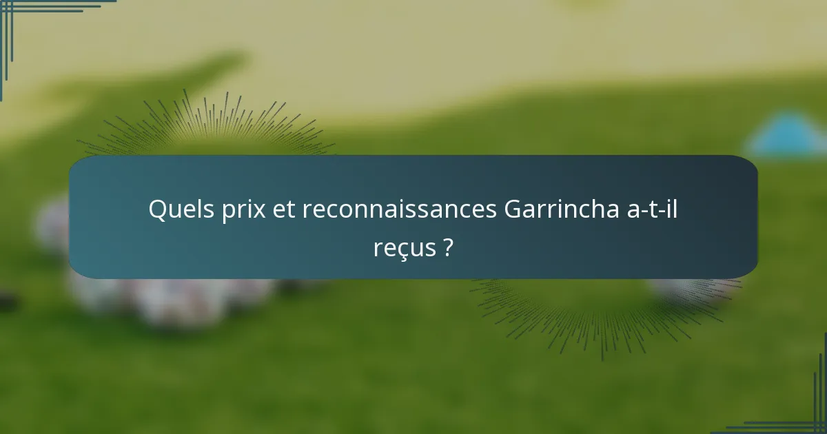 Quels prix et reconnaissances Garrincha a-t-il reçus ?